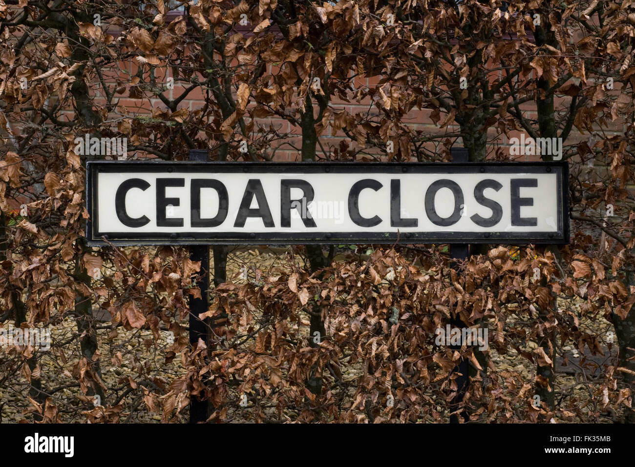Il Cedar chiudi nome strada. Foto Stock