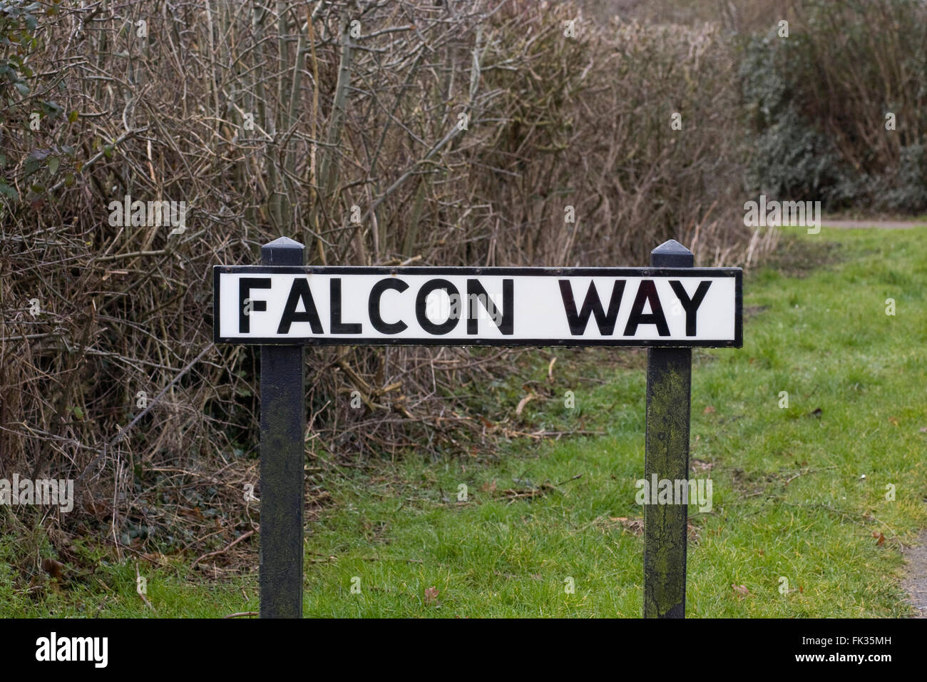 Falcon Way nome strada. Foto Stock