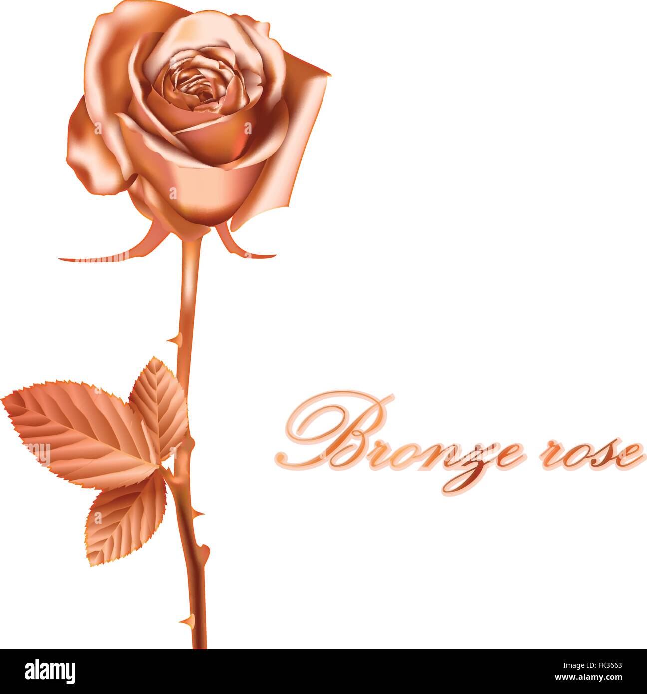 Rosa di bronzo, vettore Illustrazione Vettoriale