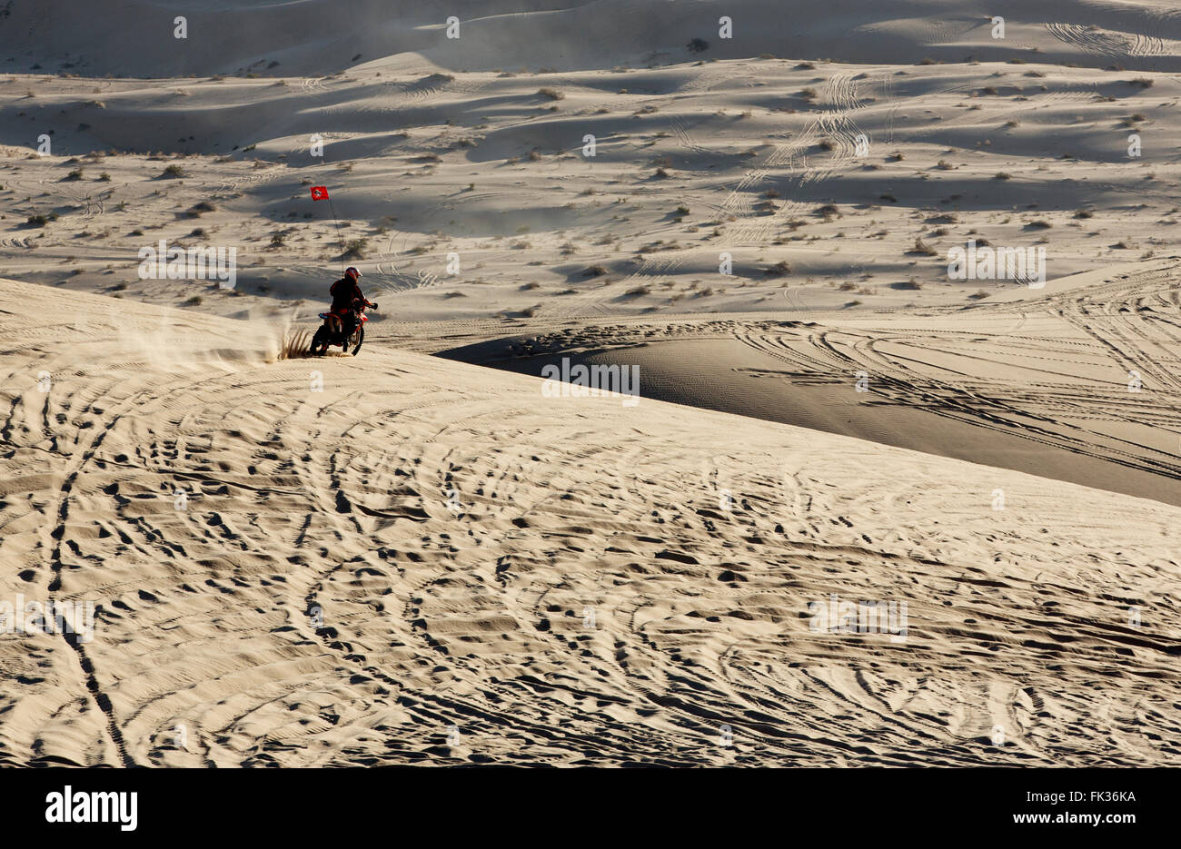 Imperial dune di sabbia Recreation Area, California USA Foto Stock