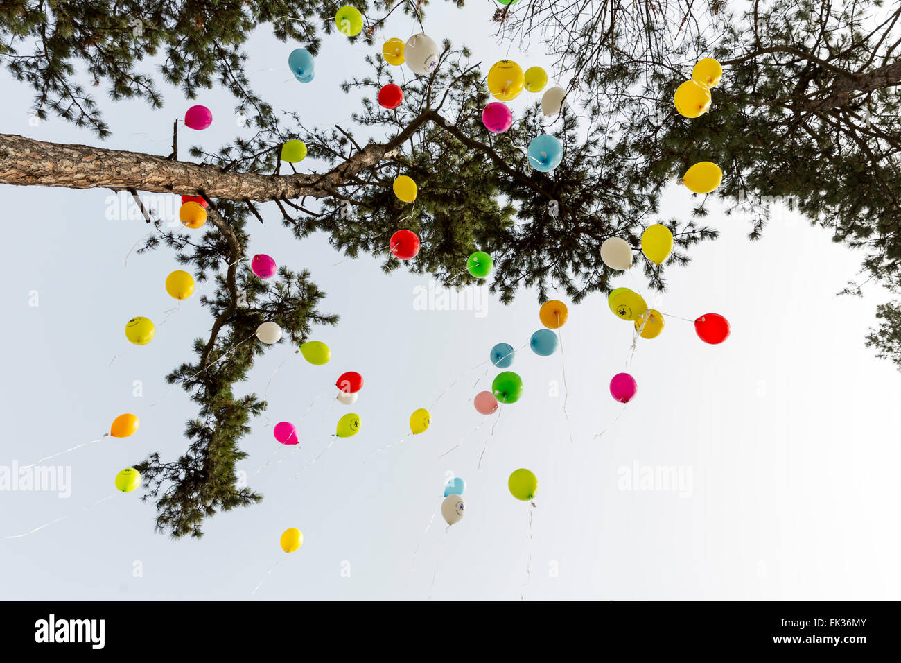 Sofia, Bulgaria - 29 Febbraio 2016: decine di palloncini colorati sono lanciati nel cielo a livello internazionale malattia rara da Foto Stock