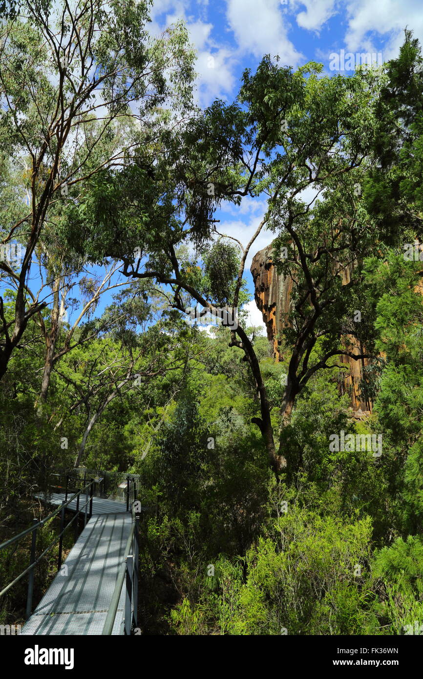 'Sawn Rocks' in Kaputar Parco Nazionale vicino a Narrabri, NSW, Australia. Questa caratteristica geologica è denominata "organo a canne' Foto Stock