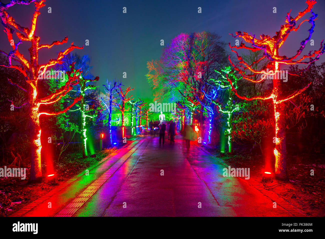 Park Leuchten, Parco di illuminazione, nel Gruga Park, un parco pubblico di Essen, in Germania, annuale spettacolo di luci nel Parco in inverno, Foto Stock