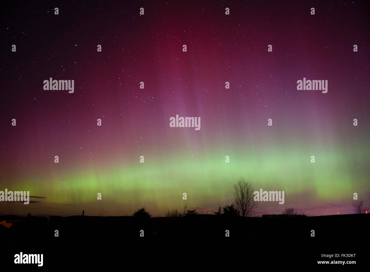Fife, Scozia,UK, domenica 06 marzo 2016. Aurora Boreale o Northern Lights illuminano il cielo notturno vicino a Cupar in Fife, Scozia, Regno Unito. Credito: Brian Horisk/Alamy Live News. Foto Stock