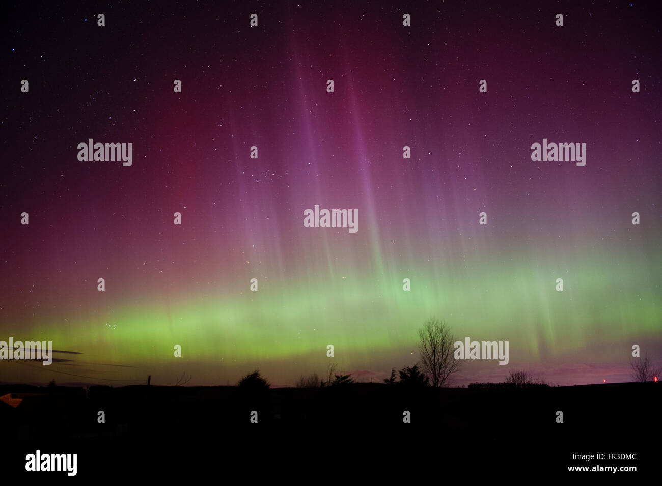 Fife, Scozia,UK, domenica 06 marzo 2016. Aurora Boreale o Northern Lights illuminano il cielo notturno vicino a Cupar in Fife, Scozia, Regno Unito. Credito: Brian Horisk/Alamy Live News. Foto Stock