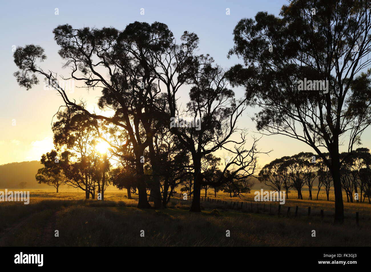 Crepuscolo sopra una scena rurale nel Queensland, in Australia. Foto Stock