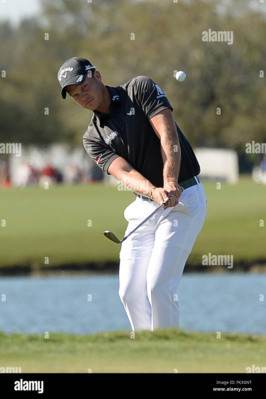 Doral, Florida, Stati Uniti d'America. 06 Mar, 2016. Danny Willett dall'Inghilterra all'ottavo verde durante il round finale del mondo Golf Championships-Cadillac campionati - round finale al Trump National Doral in Doral, FL Credito: Azione Sport Plus/Alamy Live News Foto Stock