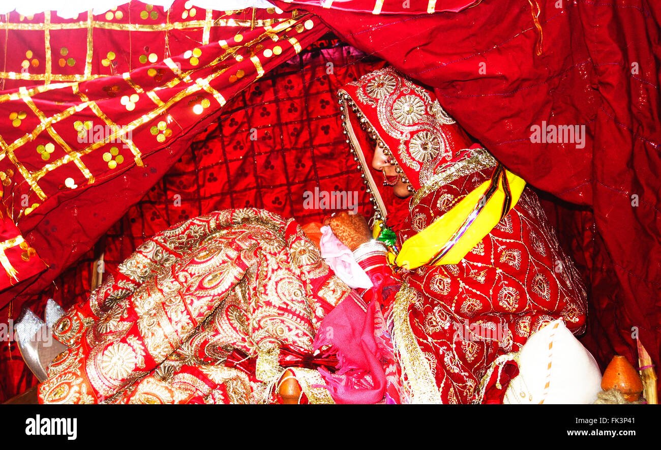 Sposa indiana in un palanquin Foto Stock