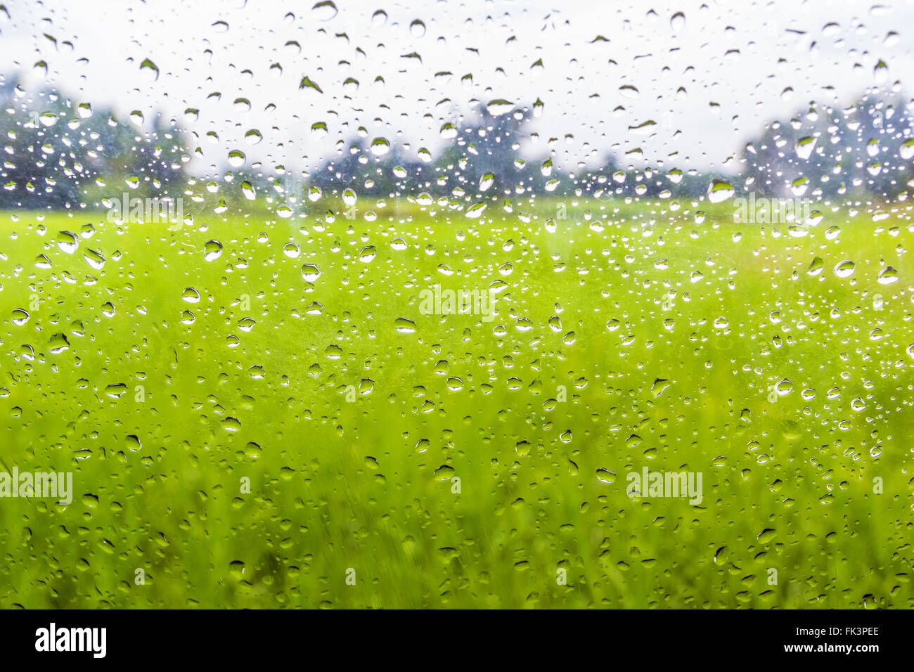 Acqua naturale Acqua gocce sul vetro di una finestra con lo sfondo della natura Foto Stock