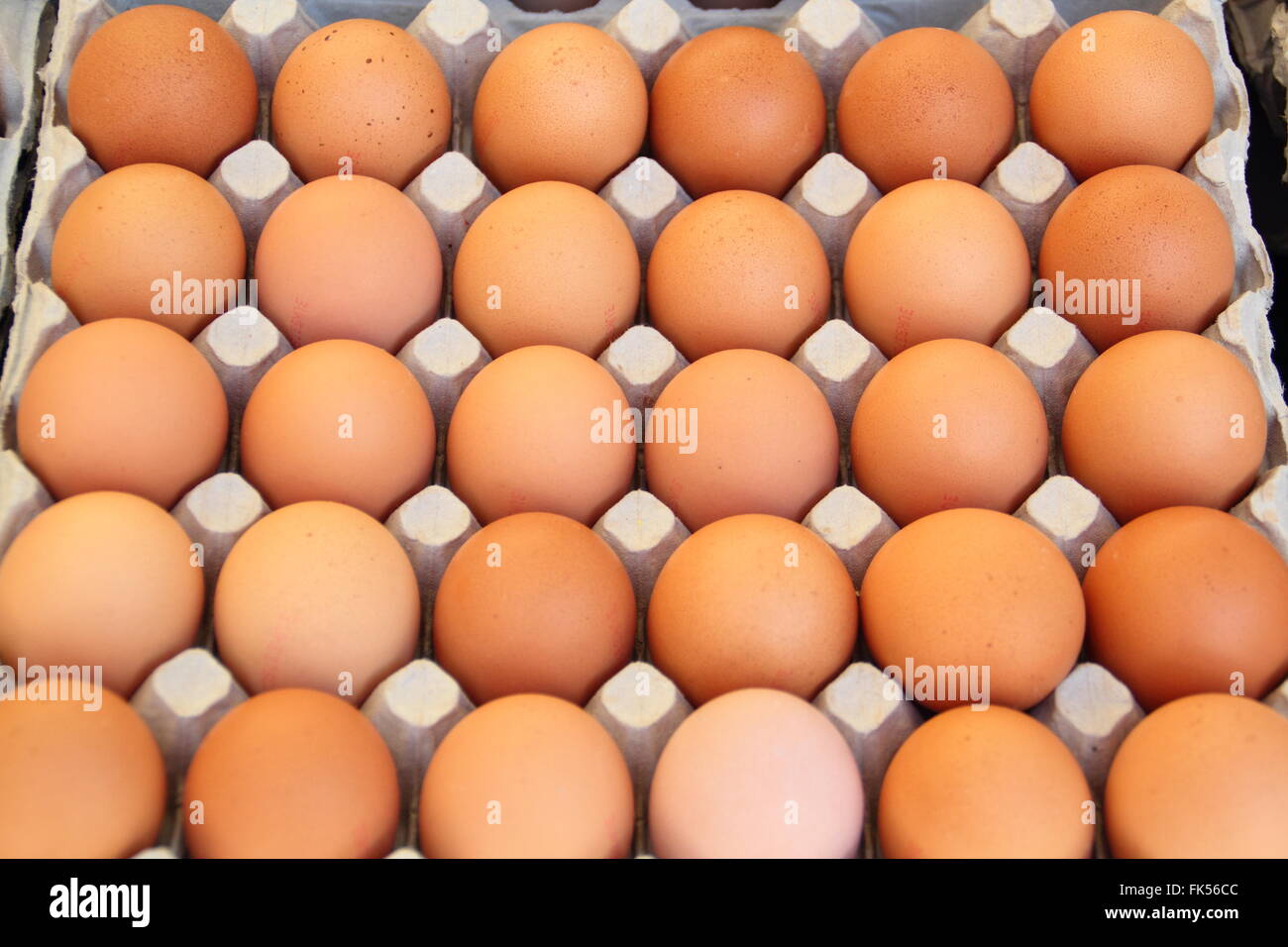 Free range uova di gallina per la vendita su un mercato in stallo in Inghilterra Foto Stock