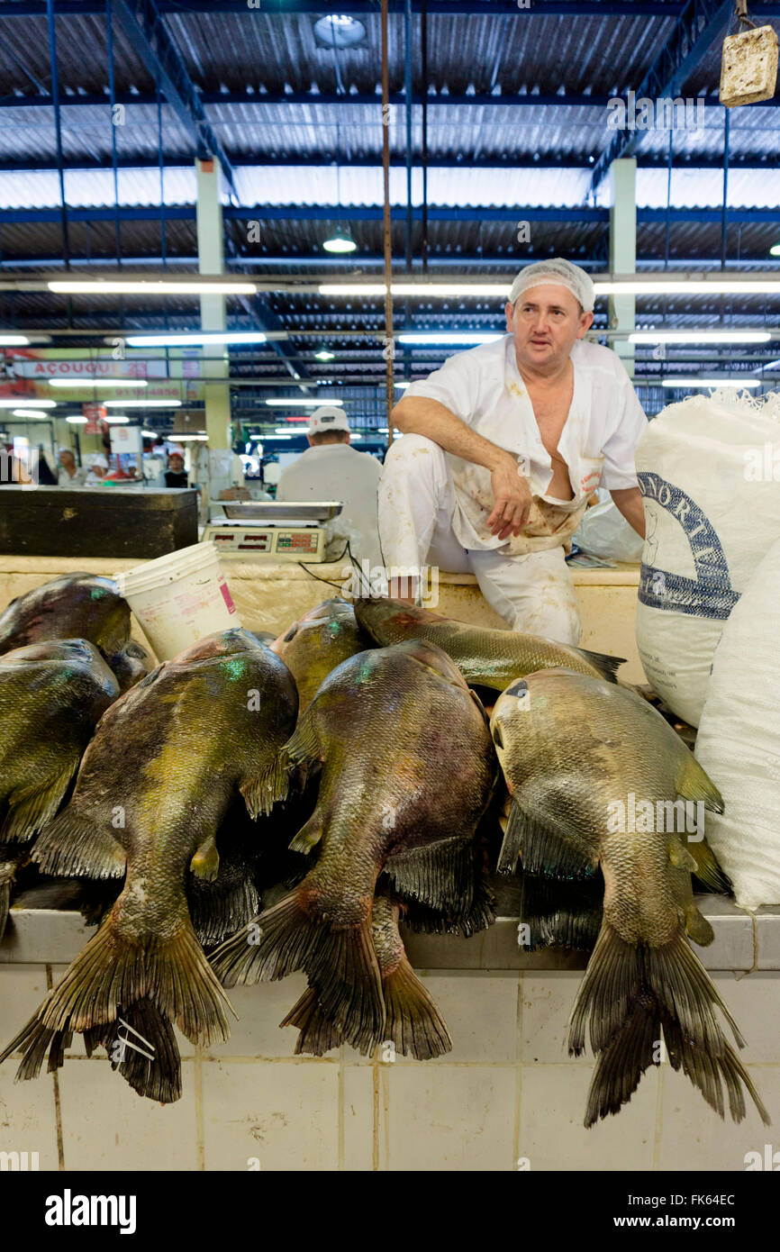 Pescivendolo a Belem mercato del pesce in Amazzonia, Para, Brasile, Sud America Foto Stock