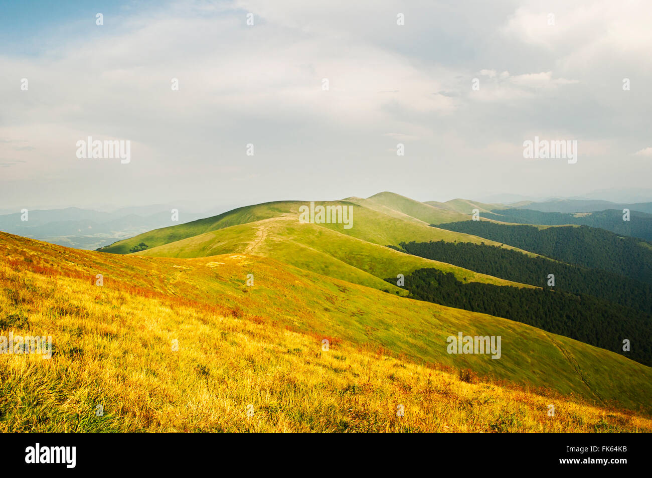 Montagna estate panorama. Polonyna Borzhava. L'Ucraina Foto Stock