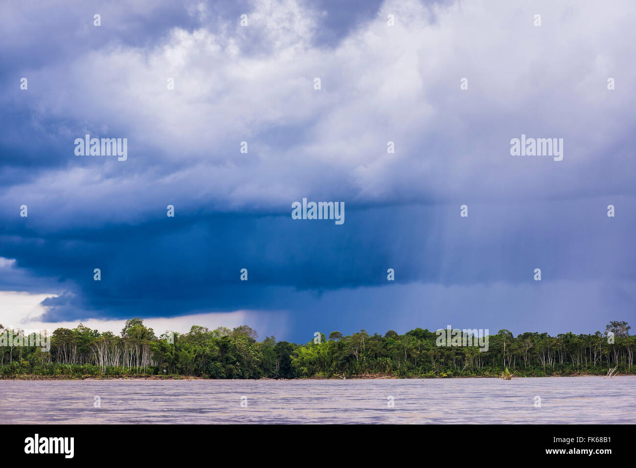 La foresta pluviale amazzonica tempesta, Coca, Ecuador, Sud America Foto Stock