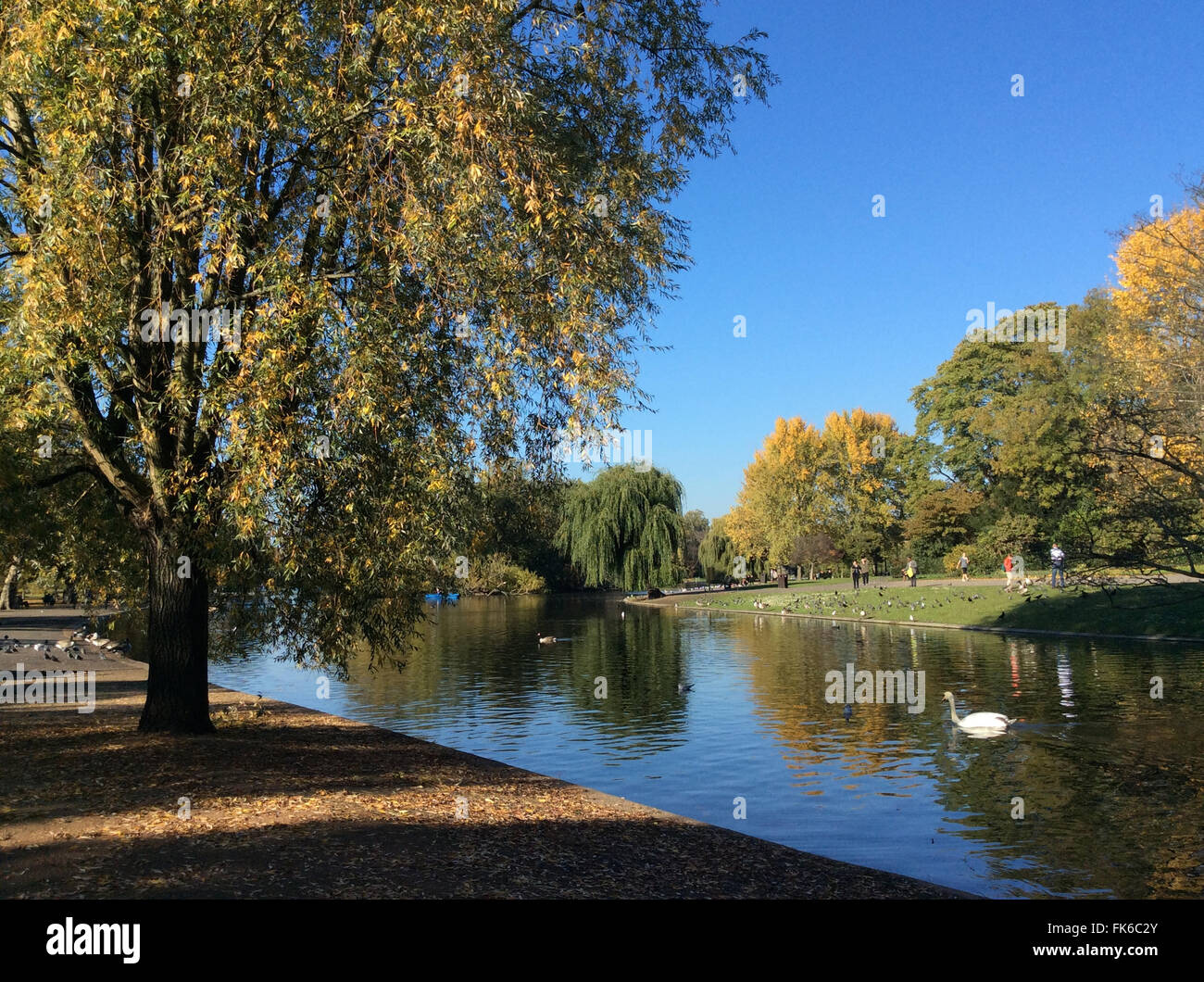 Regent's Park in autunno, London, England, Regno Unito, Europa Foto Stock