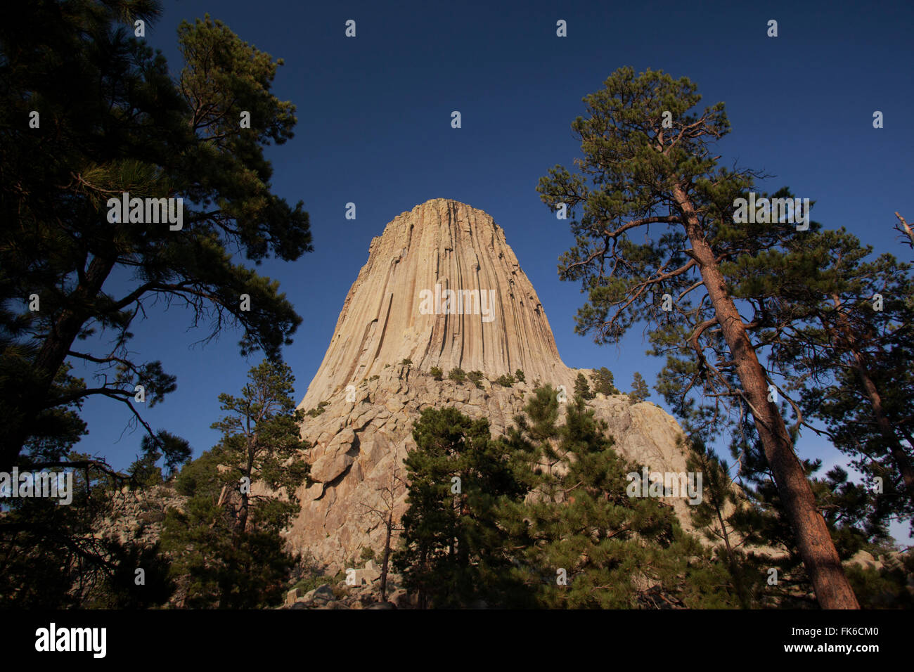 Devils Tower, Devils Tower National Monument, Wyoming negli Stati Uniti d'America, America del Nord Foto Stock