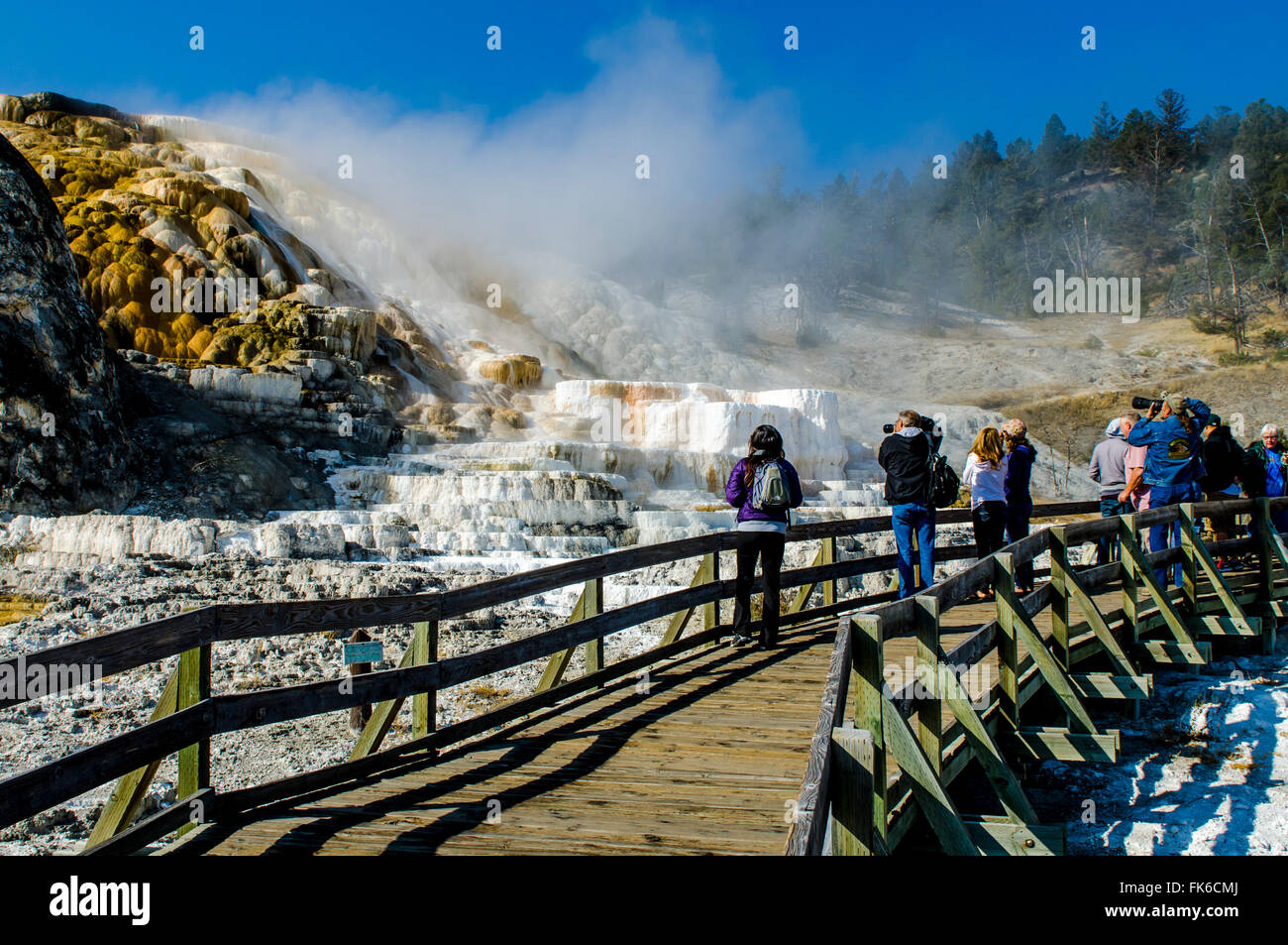 Terrazzi Mammoth Hot Springs, il Parco Nazionale di Yellowstone, Sito Patrimonio Mondiale dell'UNESCO, Wyoming, Stati Uniti d'America Foto Stock