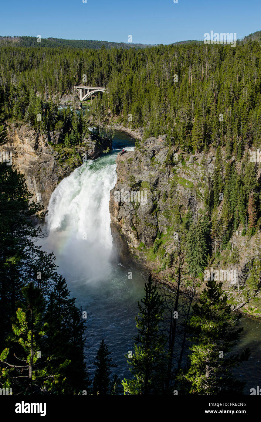 Upper Falls, il Parco Nazionale di Yellowstone, Sito Patrimonio Mondiale dell'UNESCO, Wyoming negli Stati Uniti d'America, America del Nord Foto Stock
