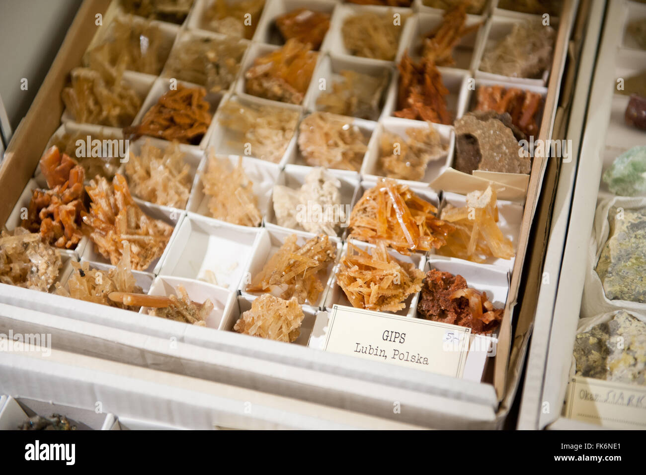 I cristalli di gesso di pezzi nel cartone al minerale di Varsavia Expo 2016, 5 Marzo, VI edizione evento nel palazzo PKiN, Polonia Foto Stock