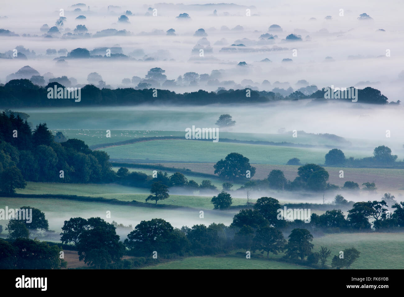 Una nebbiosa mattina nella Blackmore Vale, Dorset, England, Regno Unito Foto Stock