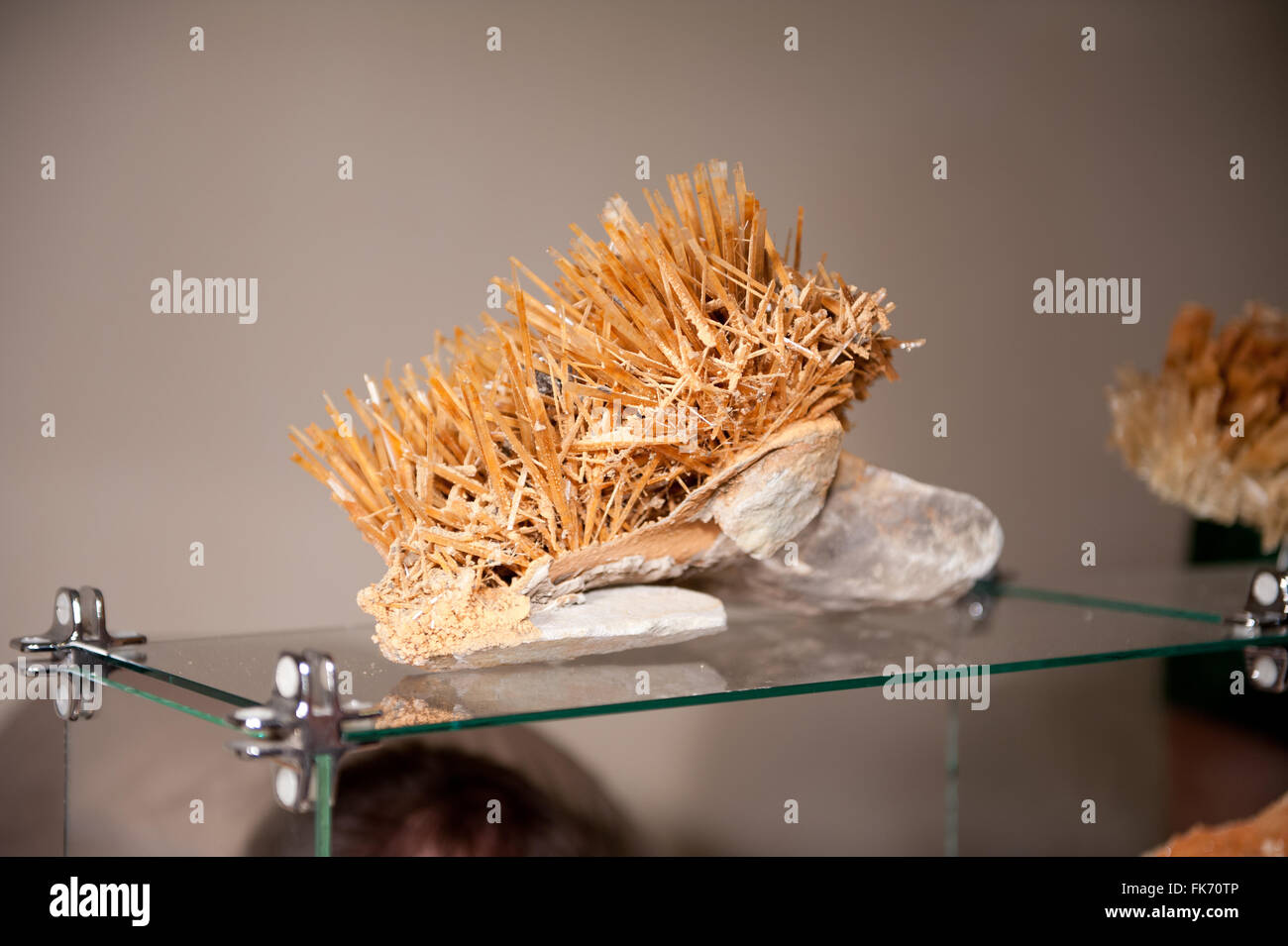Cristalli minerali vetrina in vendita al minerale di Varsavia Expo 2016, 5 Marzo, VI edizione evento nel Palazzo della Cultura e della scienza Foto Stock