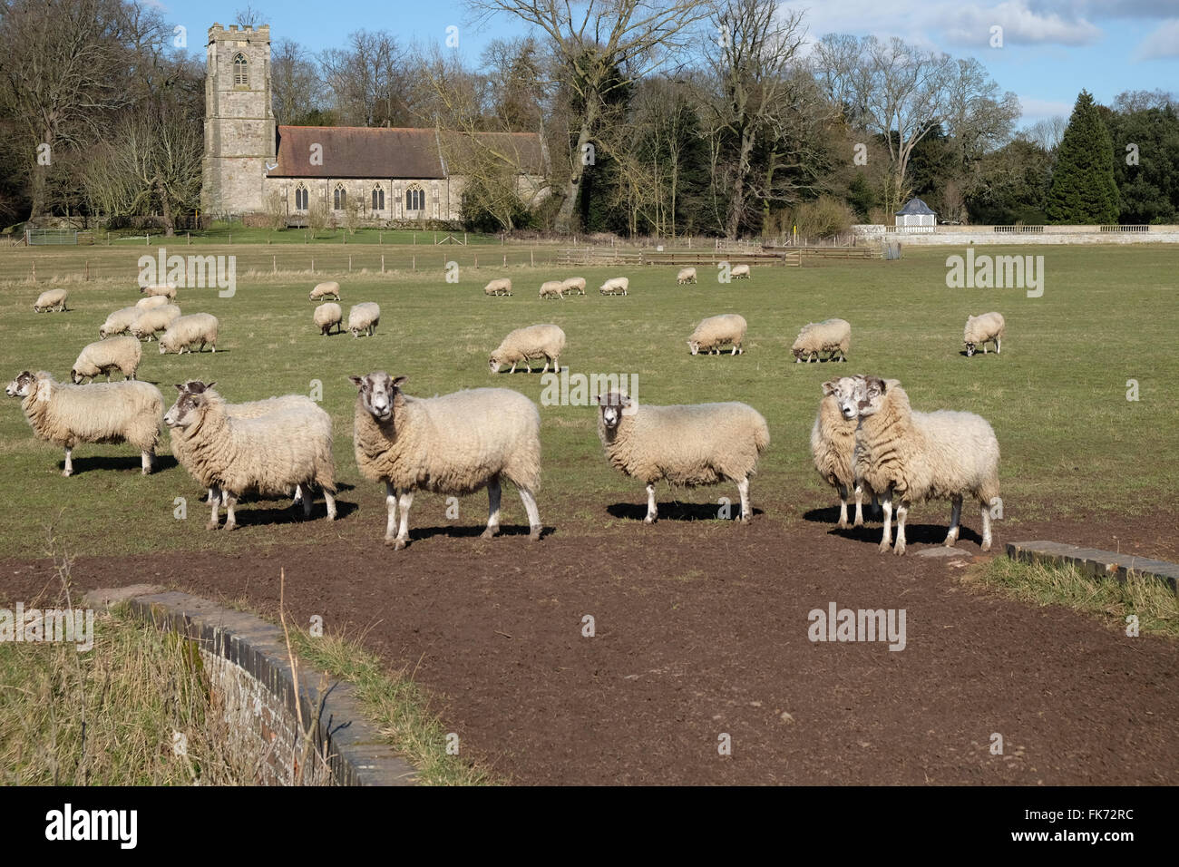 Sant'Andrea Chiesa in prestwold leicestershire Foto Stock