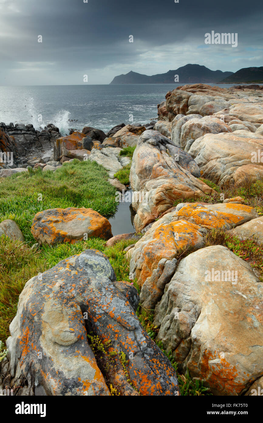 Il Capo di Buona Speranza a rocce nere, Cape Point, Sud Africa Foto Stock