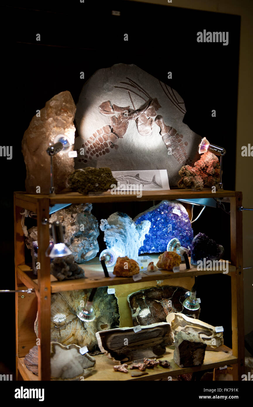 I cristalli di minerali e fossili di gemme assortimento di pezzi di minerale di Varsavia Expo 2016, 5 Marzo, VI edizione evento in PKiN Foto Stock