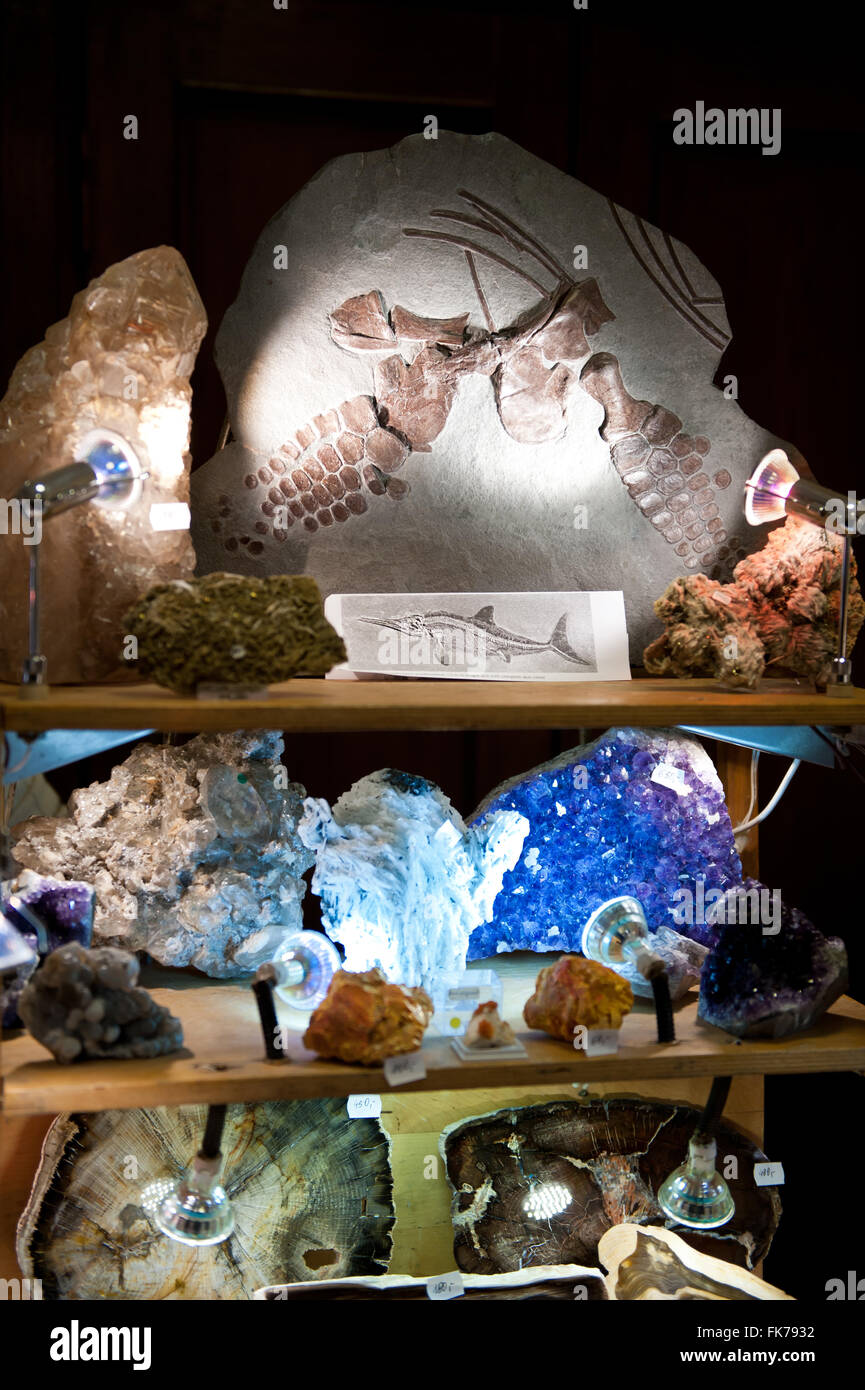 Cristalli blu e fossili di animali che gemma assortimento di pezzi di minerale di Varsavia Expo 2016, 5 Marzo, VI edizione evento in PKiN Foto Stock