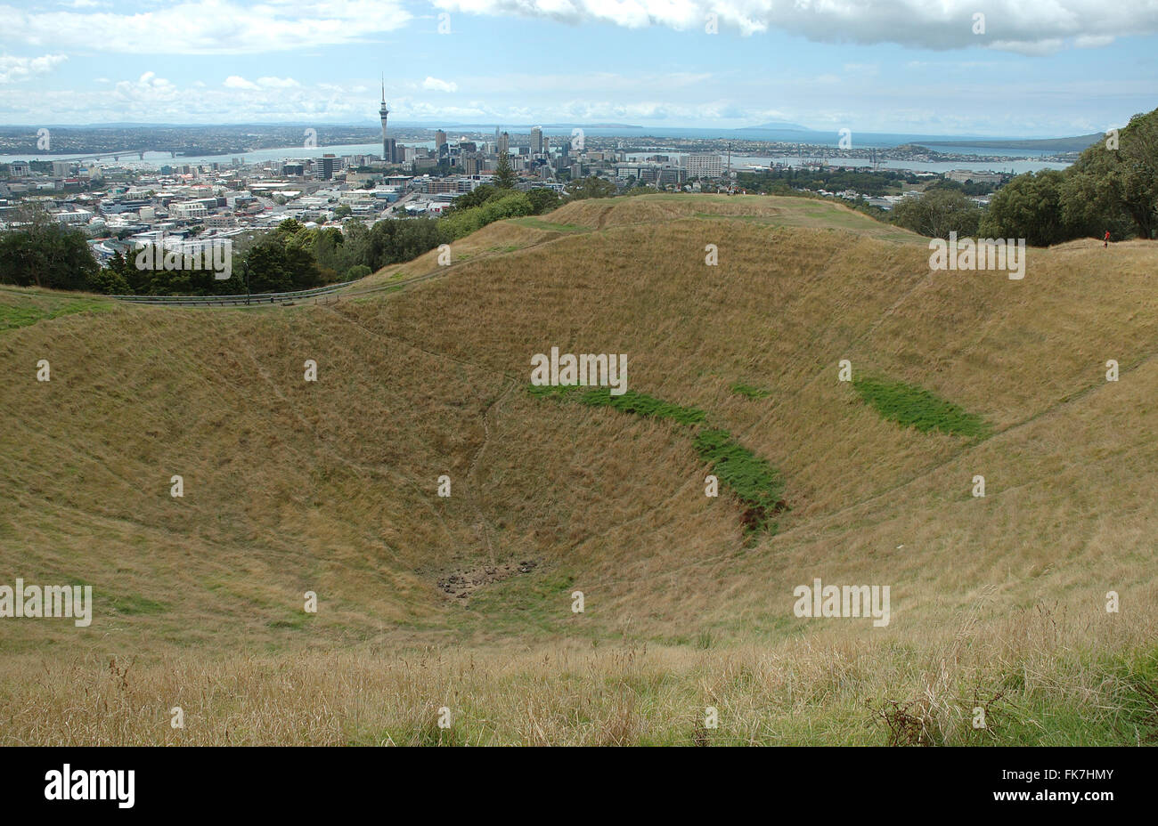 Il bacino del vulcano del Monte Eden, Auckland, Isola del nord, Nuova Zelanda. Foto Stock