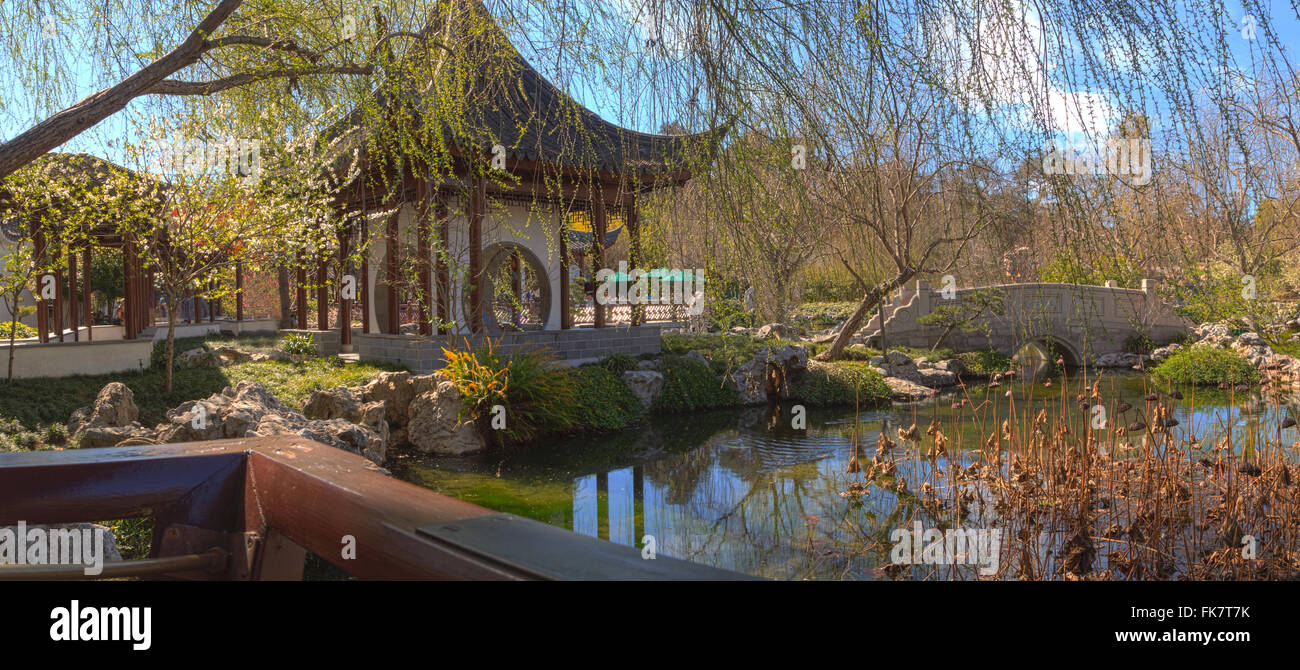 Giardino Cinese a Huntington Giardino Botanico con un laghetto e ponte nel sud della California, Stati Uniti. Foto Stock