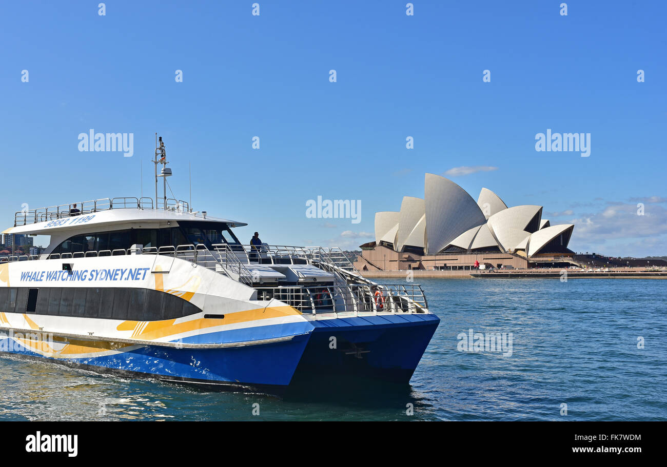 Australia-Sydney,2015.Moderna imbarcazione di balene oserve entrando nel porto di sfondo visibile Opera House.Editoriale.Horizonta Foto Stock