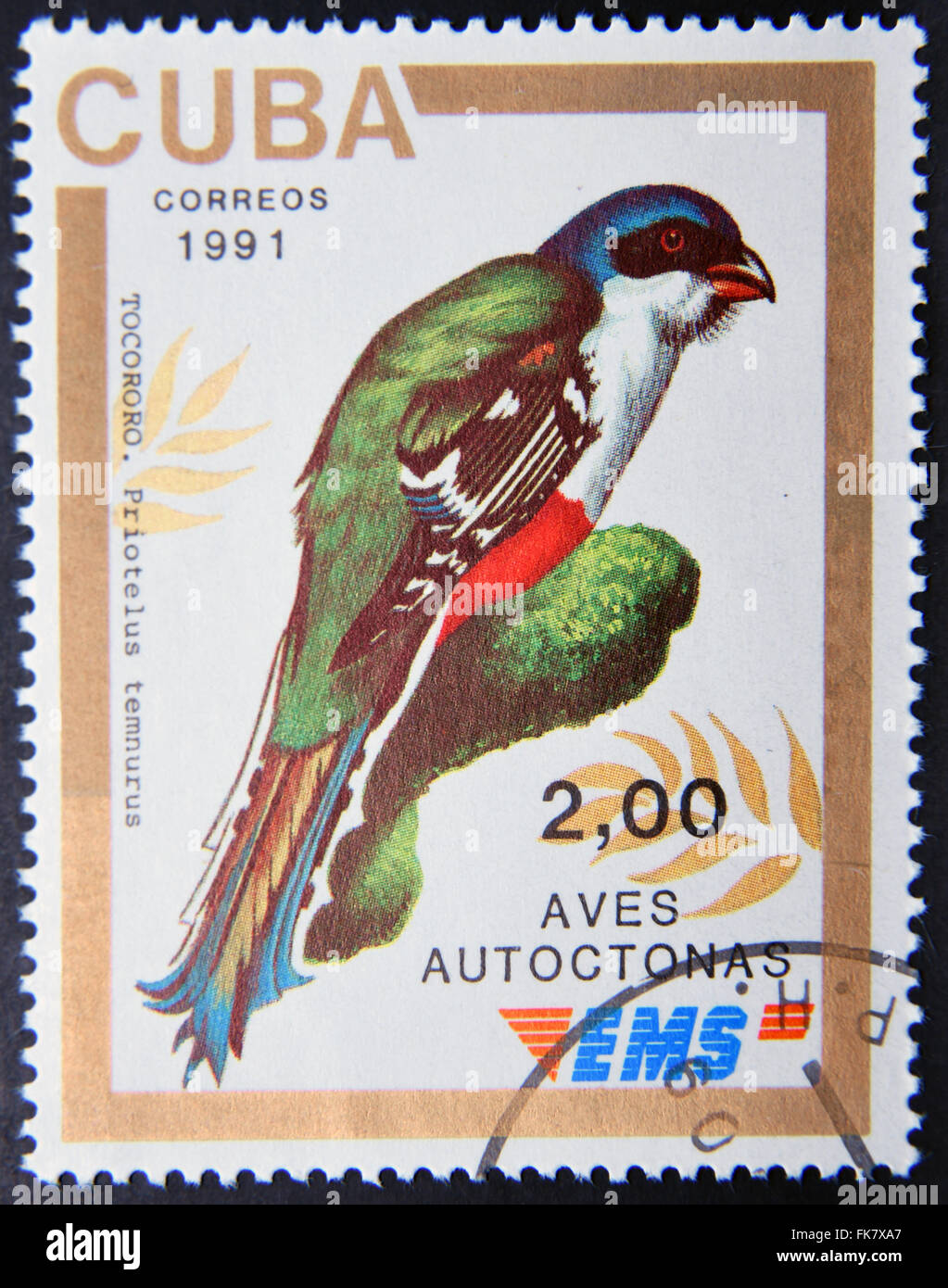 CUBA - circa 1991: un timbro stampato in Cuba dedicata a uccelli nativi, mostra Tocororo (Priotelus temnurus), circa 1991 Foto Stock
