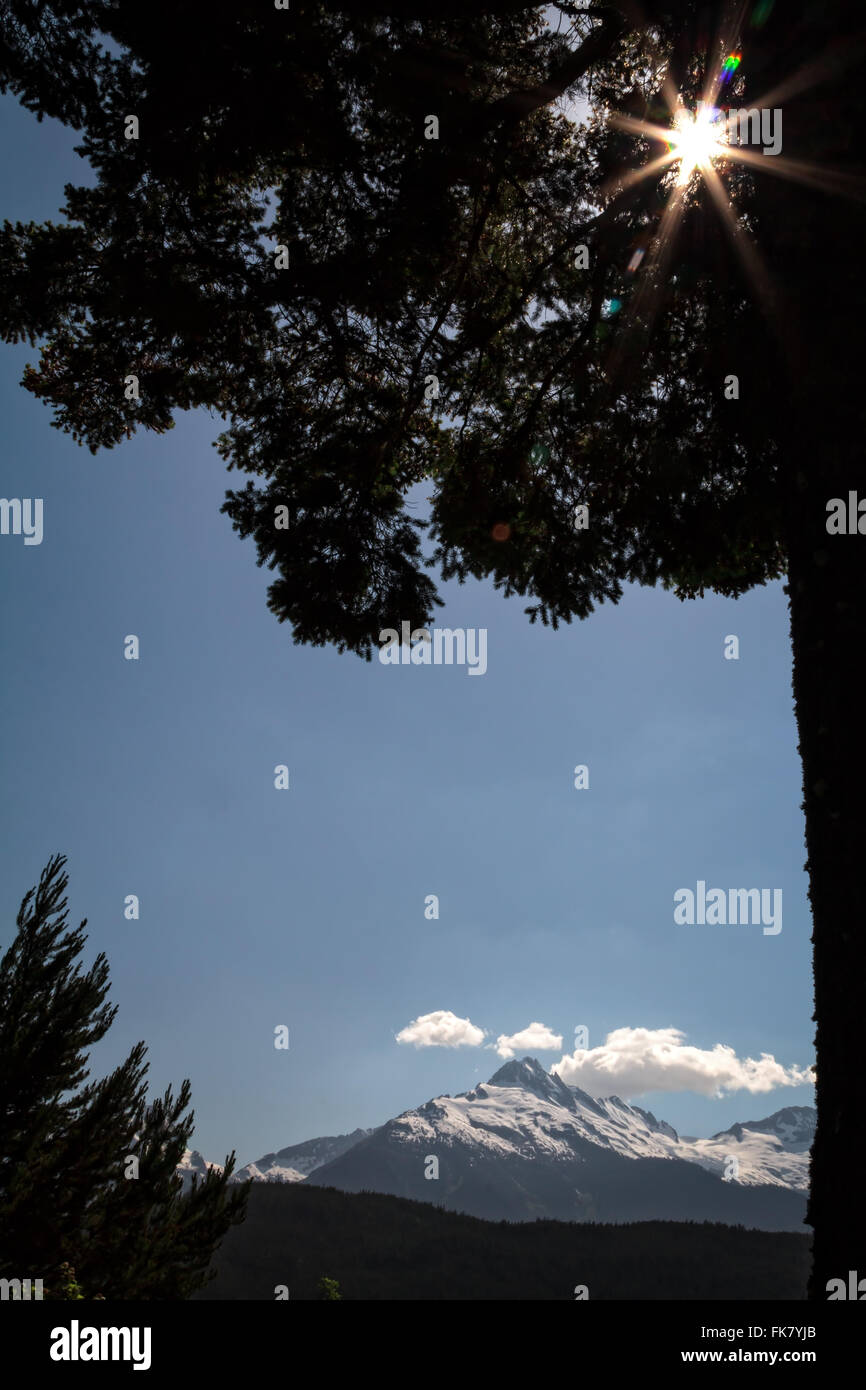 Mountain incorniciata e sun burst su albero Foto Stock