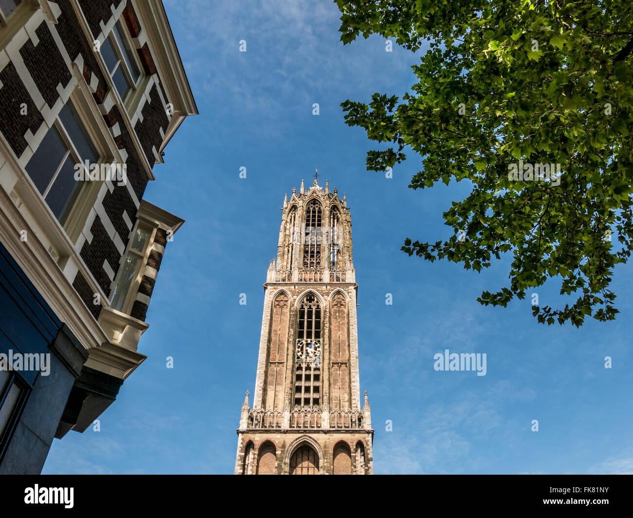 Top cattolica di San Martino la cattedrale di torre di Dom nella città di Utrecht, la torre campanaria più alta nei Paesi Bassi Foto Stock