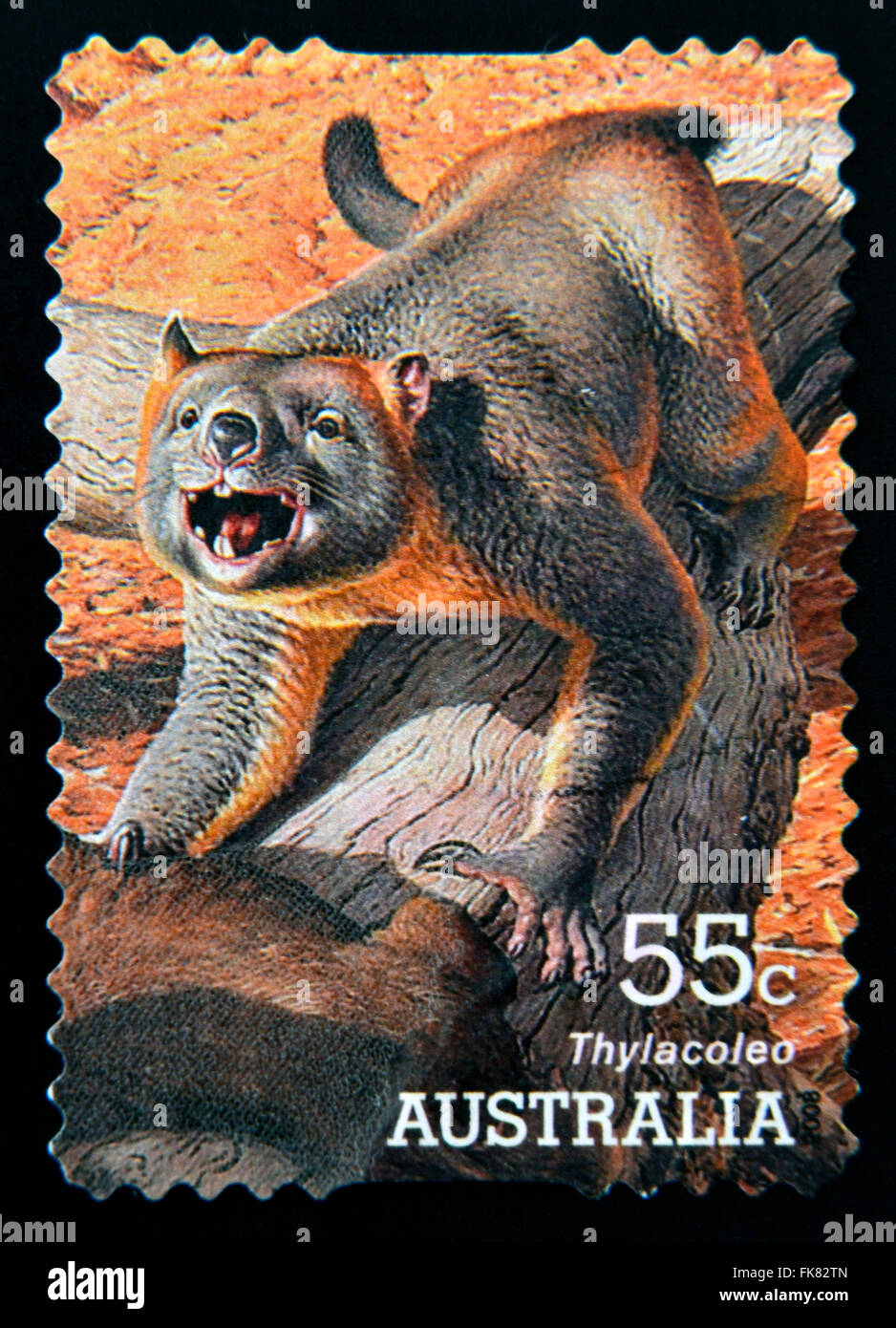 AUSTRALIA - circa 2008: un timbro stampato in Australia dedicata alla mostra Megafauna Thylacoleo, circa 2008 Foto Stock