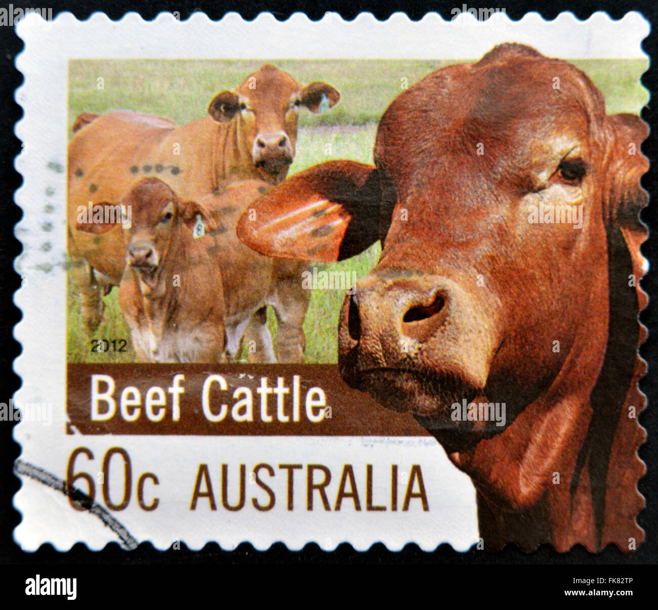 AUSTRALIA - circa 2012: un timbro stampato in Australia dedicati alla agricoltura Australia mostra bovini da carne, circa 2012 Foto Stock