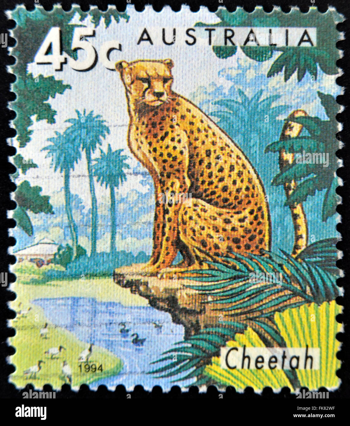 AUSTRALIA - circa 1994: timbro stampato in Australia mostra Cheetah, circa 2012 Foto Stock