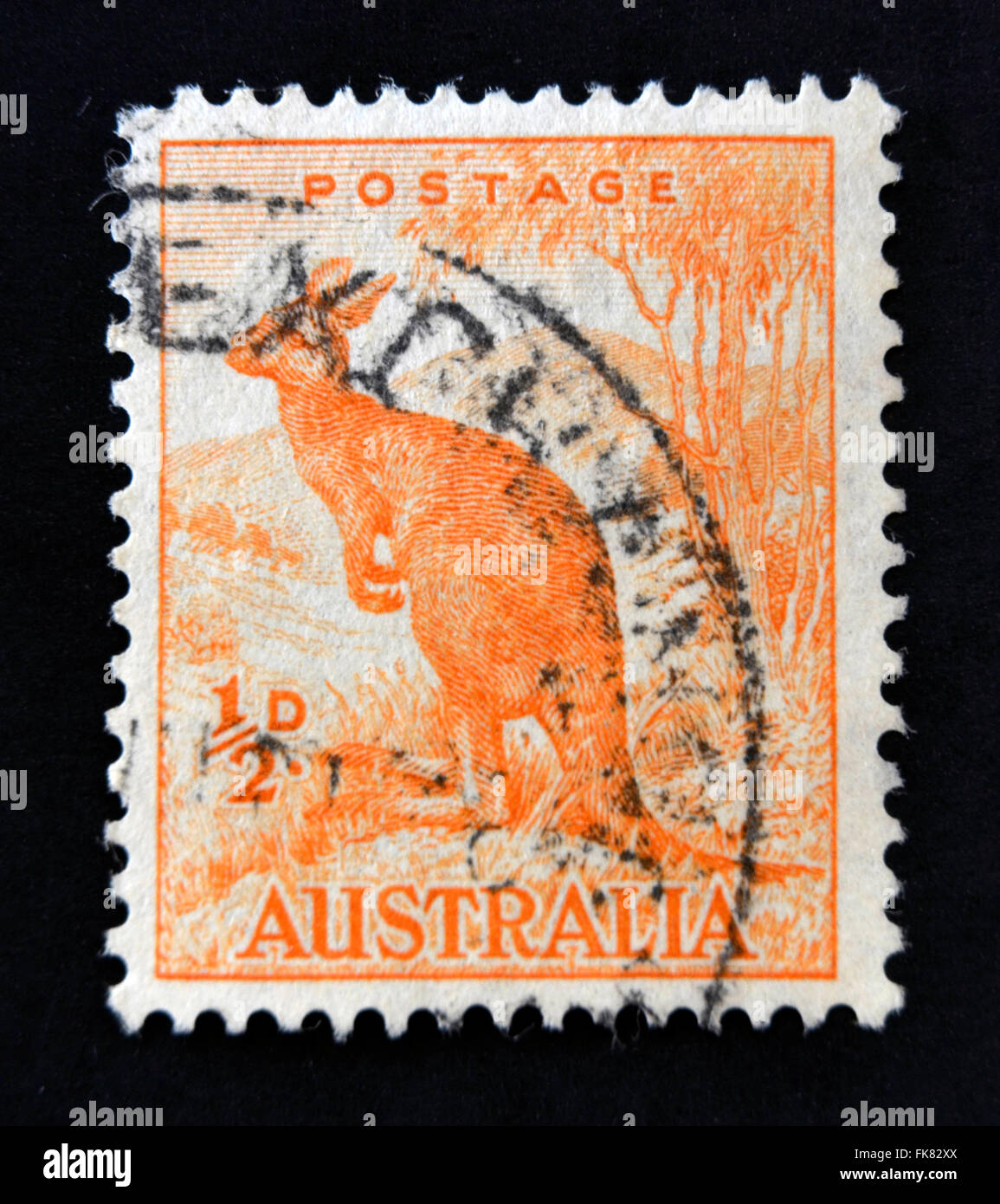 AUSTRALIA - circa 1937: un timbro stampato in Australia mostra Kangaroo, circa 1937 Foto Stock
