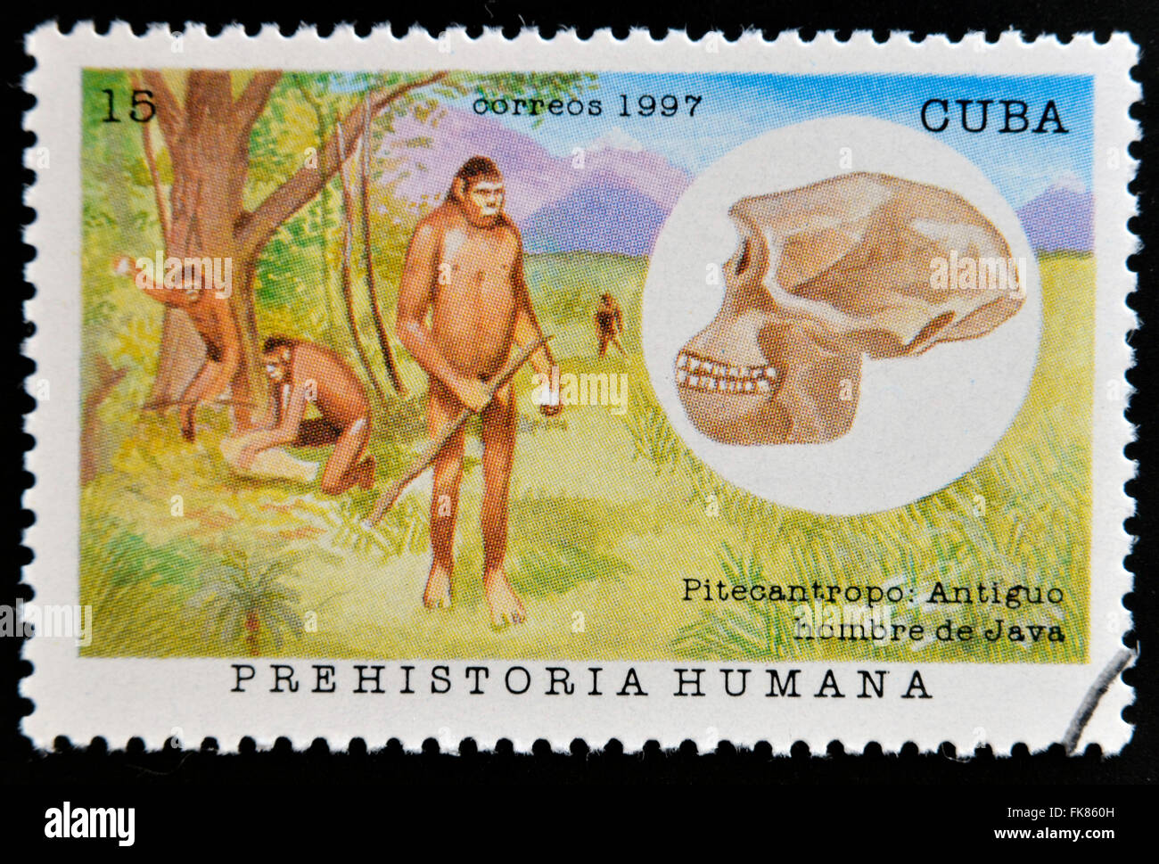 CUBA - circa 1997: un timbro stampato in Cuba dedicata alla preistoria umana mostra il Pithecanthropus, Vecchio Java uomo, circa 1997 Foto Stock