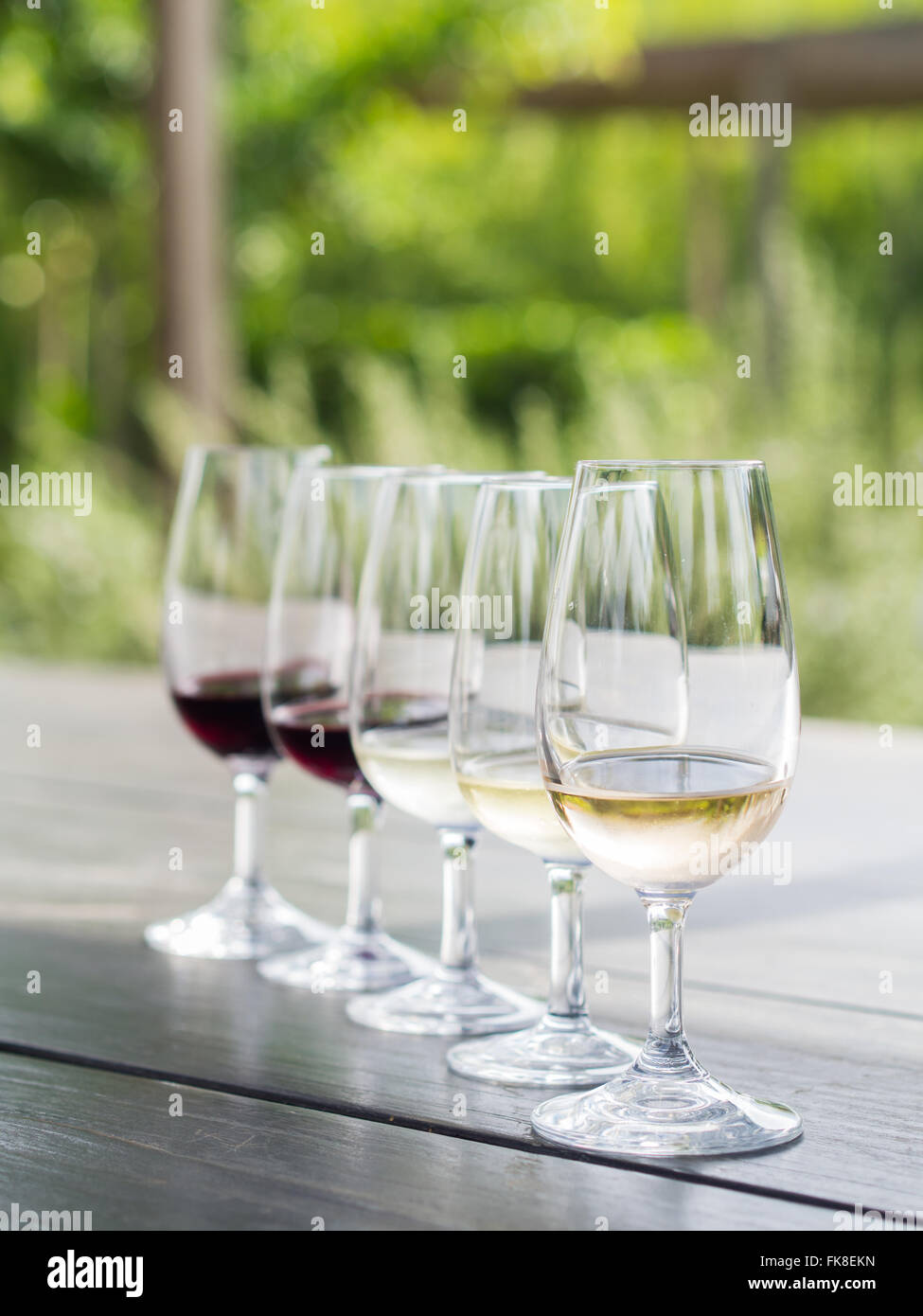 Degustazione di vino in Sud Africa. Dalla parte anteriore: Blanc de Noir, Chardonnay, Sauvignon blanc, merlot, cabernet sauvignon. Foto Stock