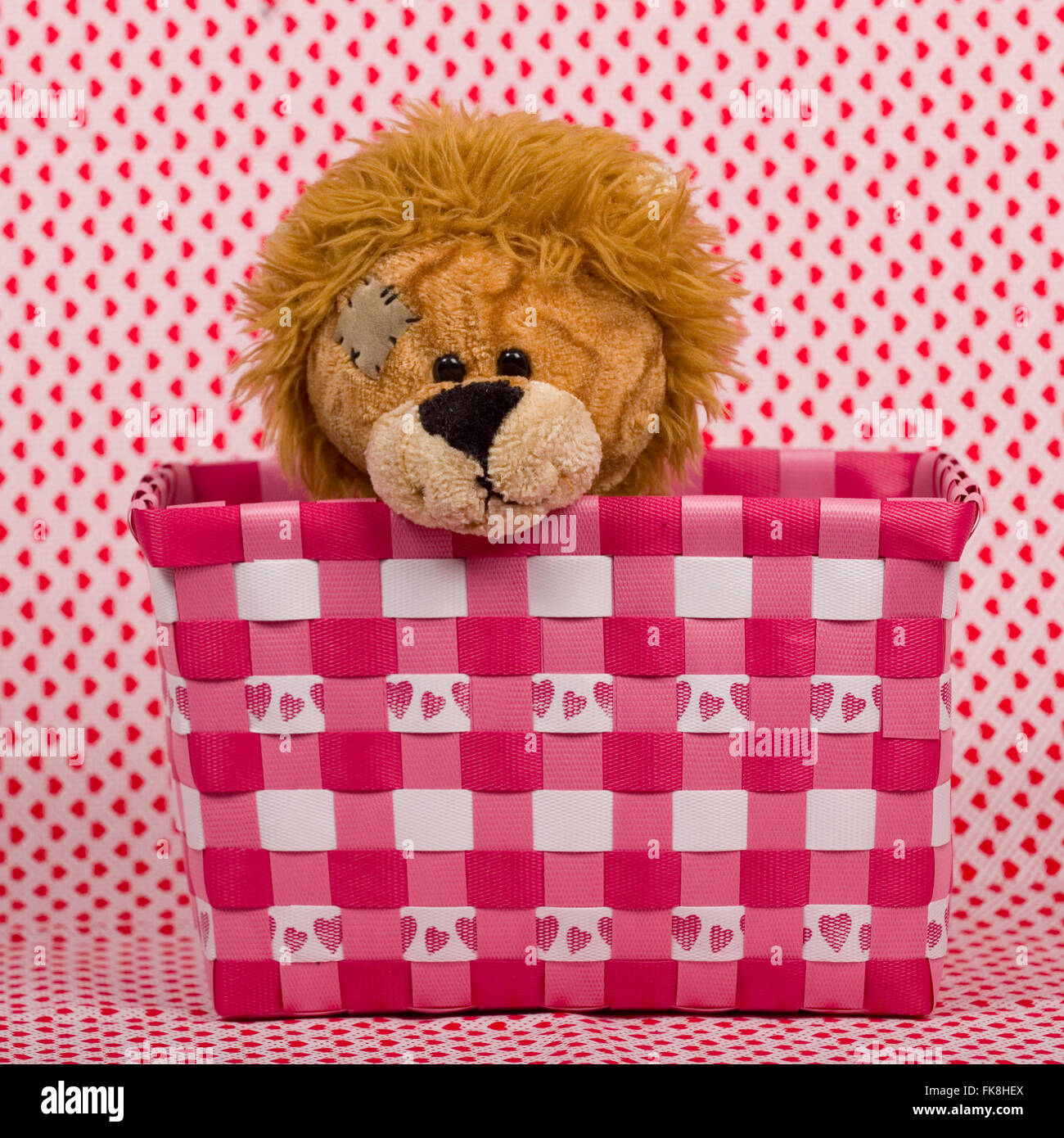Lion teddy nel cestello Foto Stock