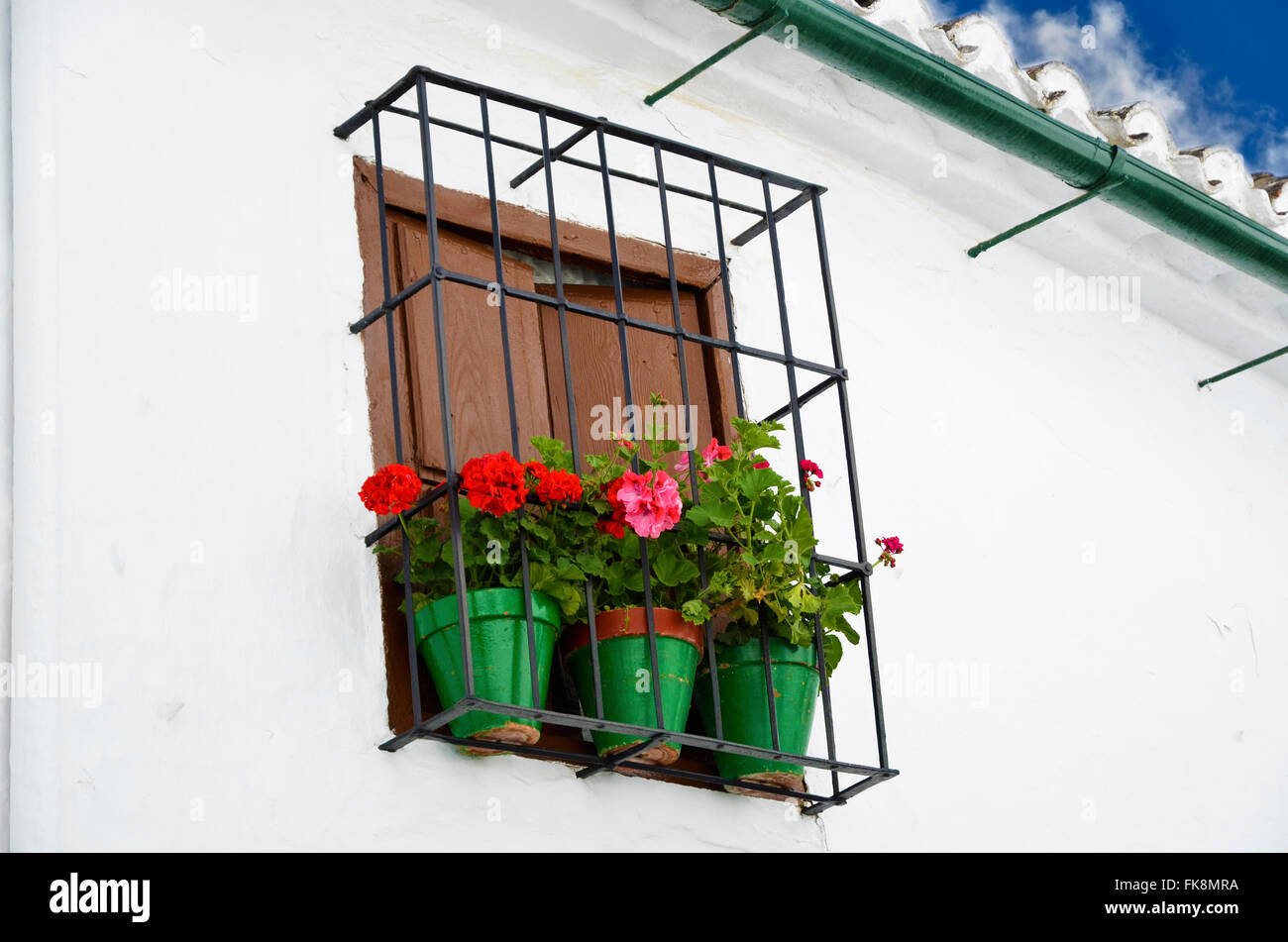 Finestra con vasi di fiori, Cordoba, Andalusia Foto Stock