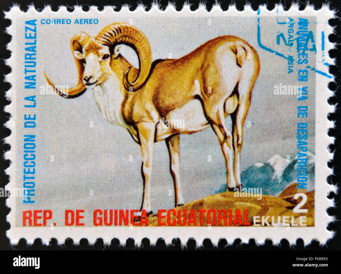 GUINEA EQUATORIALE - circa 1974: timbro stampato in Guinea dedicato a animali in pericolo, mostra Argali, Asia Foto Stock