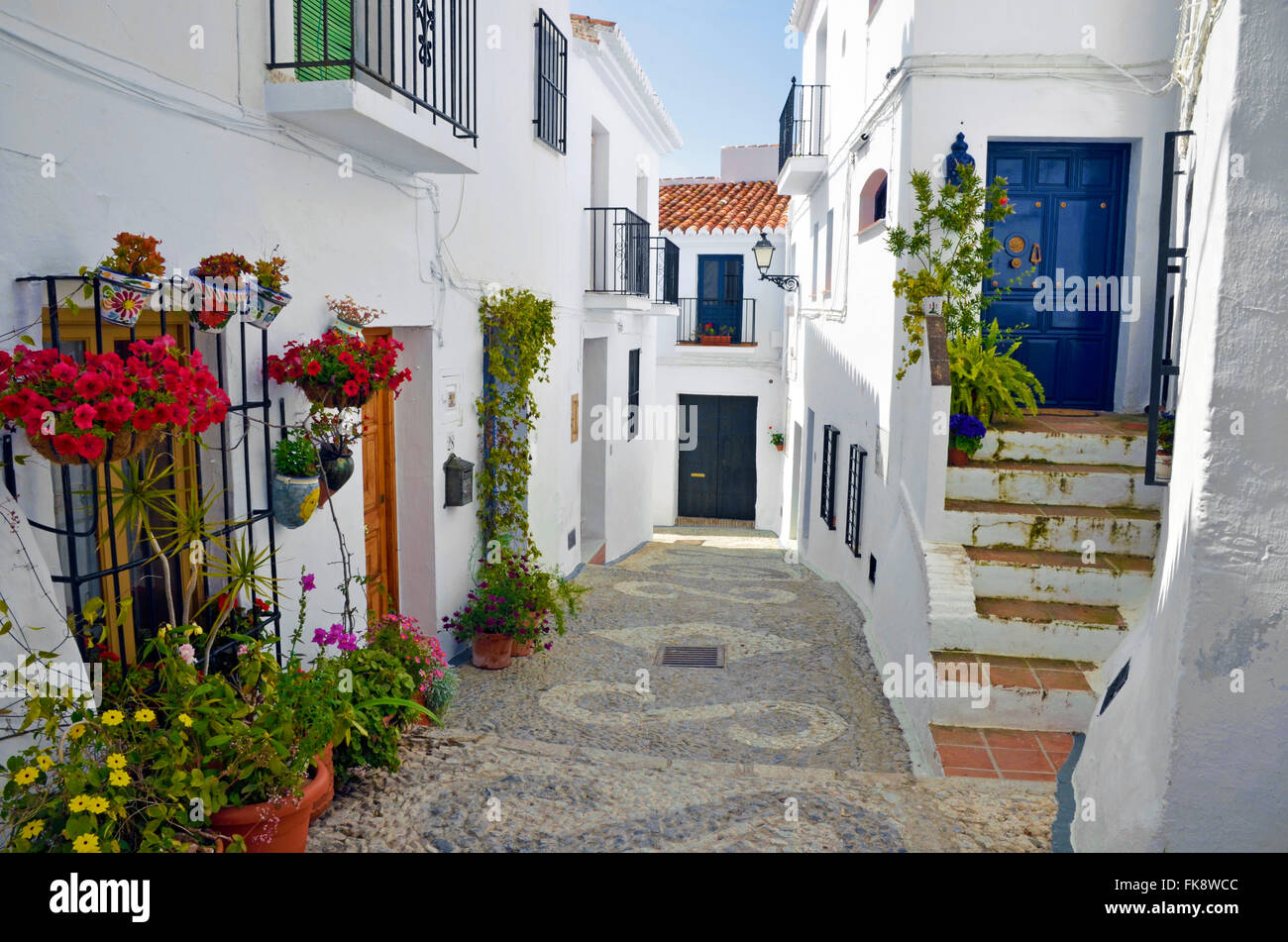 Case a schiera lungo un tipico villaggio imbiancate street, Frigiliana, Spagna Foto Stock