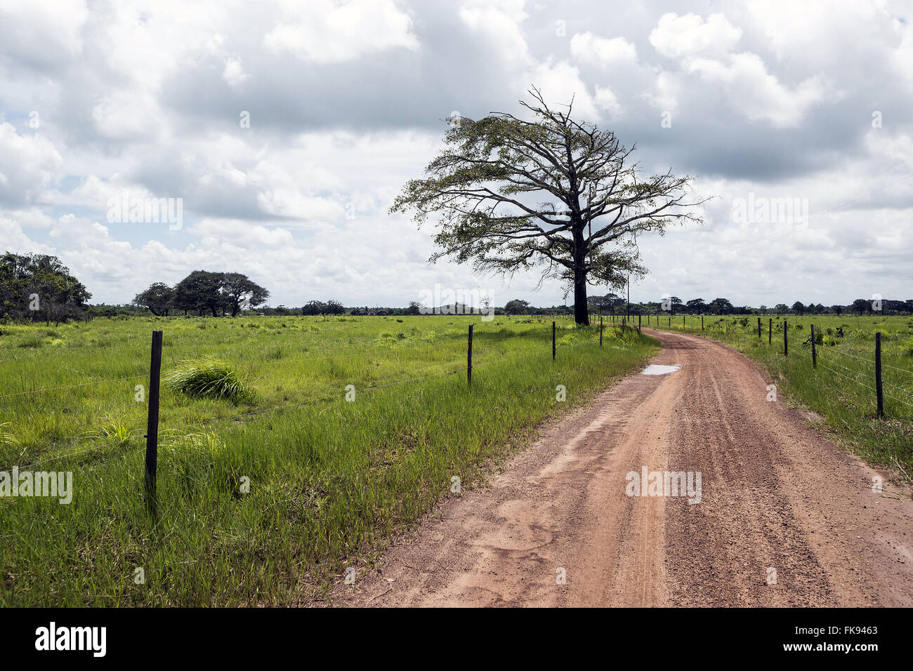 La strada attraverso il terreno di campagna nel villaggio di Joanes - Ilha do Marajo Foto Stock