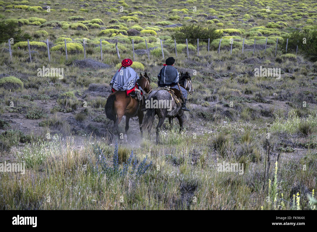 L'argentino gauchos cavalieri Foto Stock