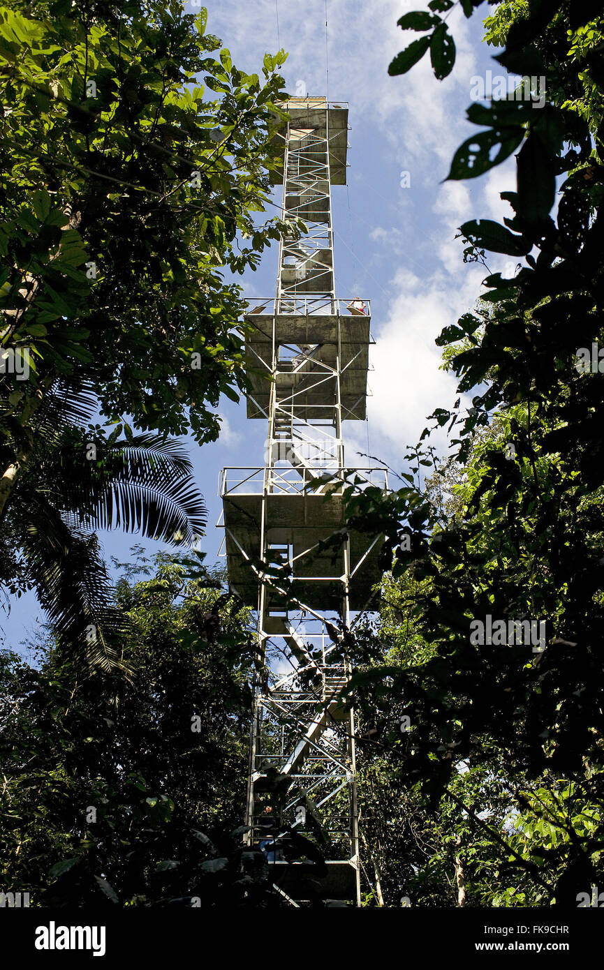 Torre di alluminio di osservazione nel mezzo della foresta pluviale nella regione di Alta Floresta Foto Stock