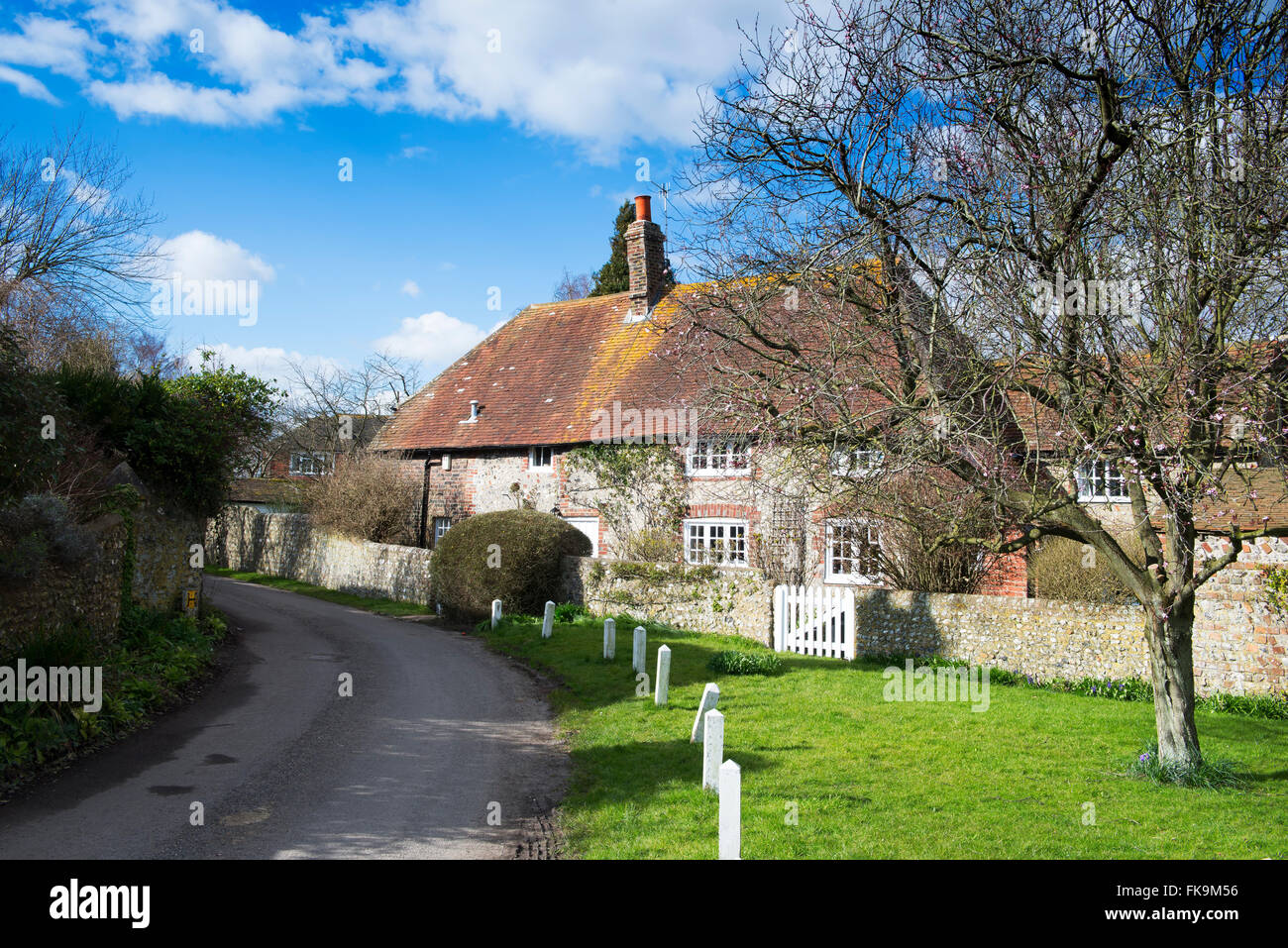 Cottage tradizionale nel East Sussex villaggio di Rodmell su un inizio primavera pomeriggio Foto Stock
