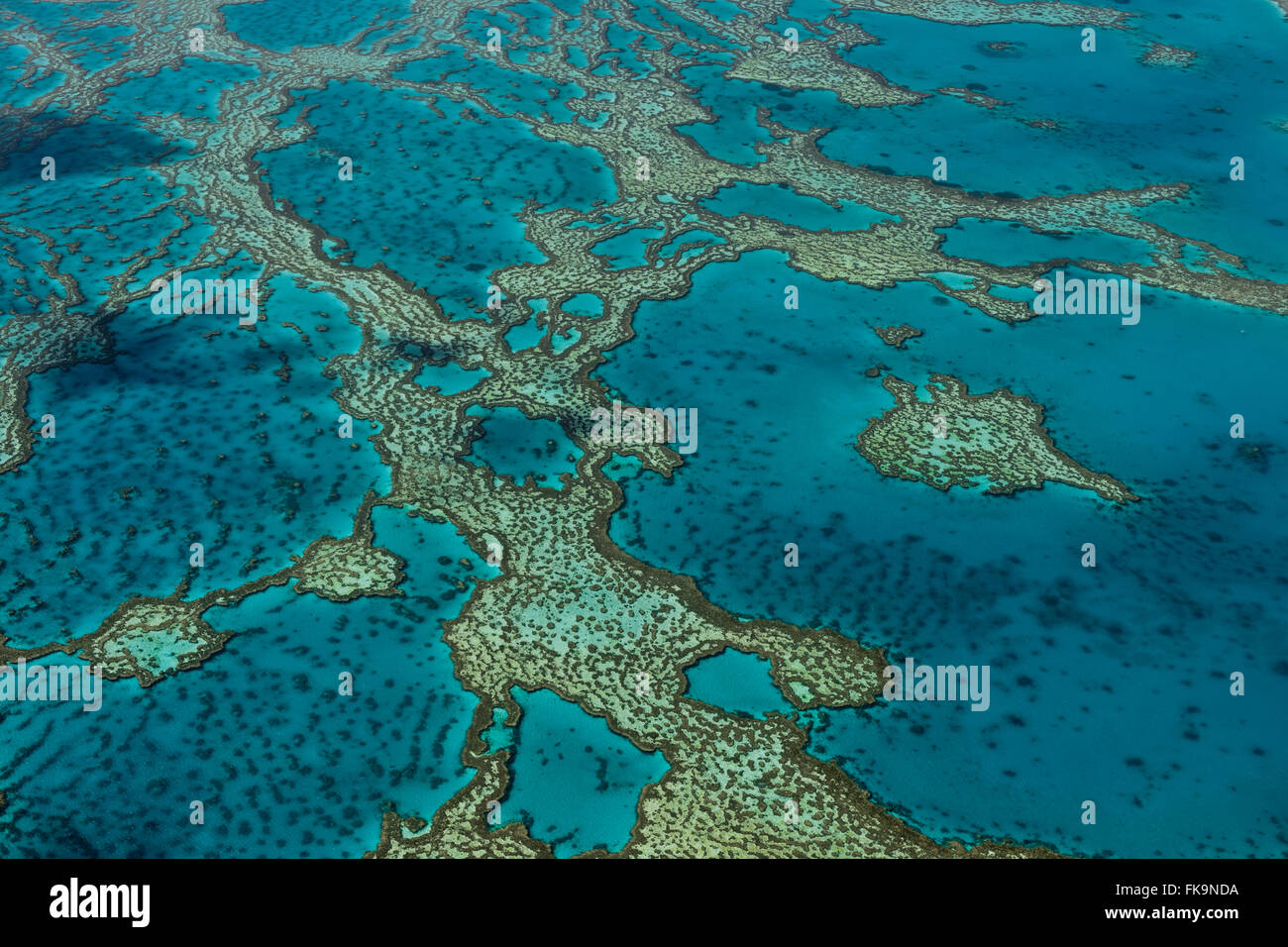 Vista aerea di Hardy Reef, home al cuore reef, nella Grande Barriera Corallina Foto Stock