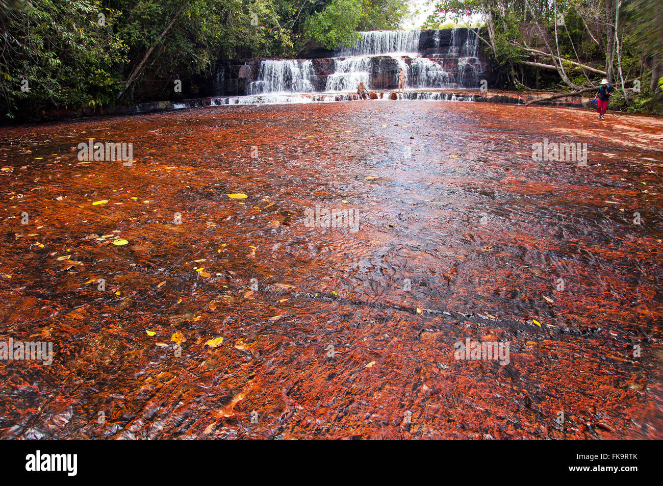 La cascata e lastra di pietra di diaspro - Gran Sabana Venezuela - Parco Nazionale di Canaima Foto Stock